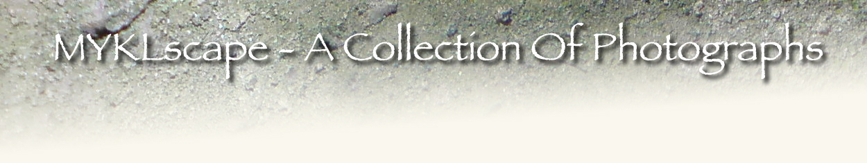 ~A Collection Of Digitally Edited Pictures By Mykl~