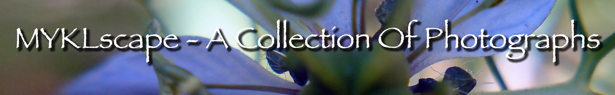 ~A Collection Of Pictures From Close-Ups To Odd Things That Have Caught Mykl's Eye~