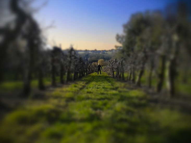 ~A Collection Of Digitally Edited Pictures By Mykl~